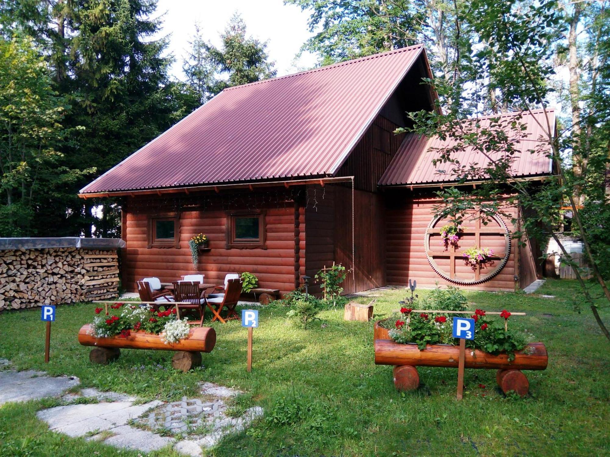 Farm Kosir Villa Kranjska Gora Luaran gambar