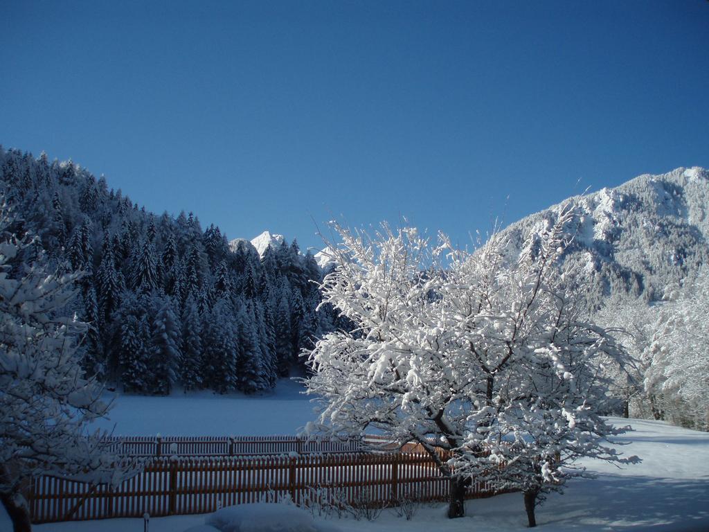 Farm Kosir Villa Kranjska Gora Luaran gambar