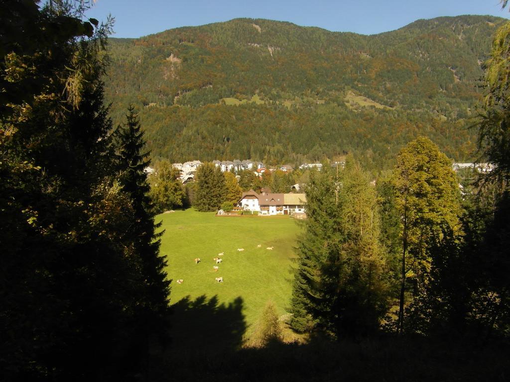 Farm Kosir Villa Kranjska Gora Luaran gambar